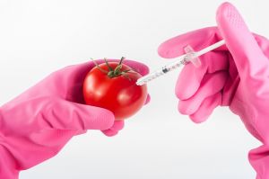 A génmódosítás és az élelmiszerek II.