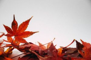 A lelkedért (is) dekorálj ősszel