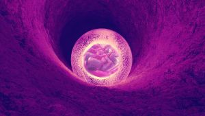 Először alkottak tudósok "szintetikus embriót"